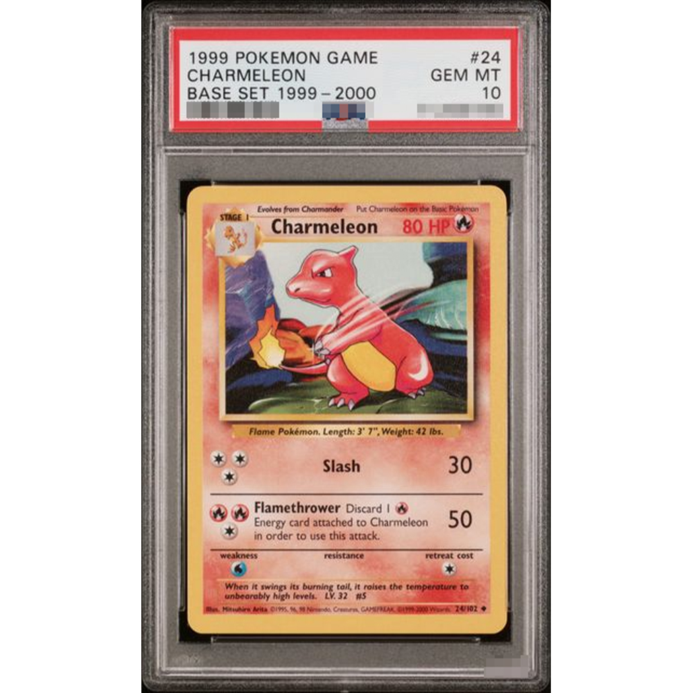 1999 Ptcg Diy Proxy Graded Col – Model Kit Game recenzja i cena