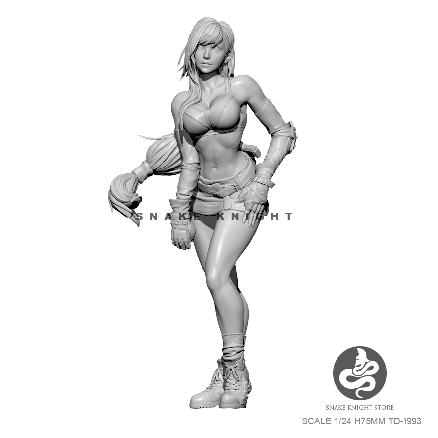 1/24 zestawy żywiczne rysunek  – Model Kit Baki recenzja i cena
