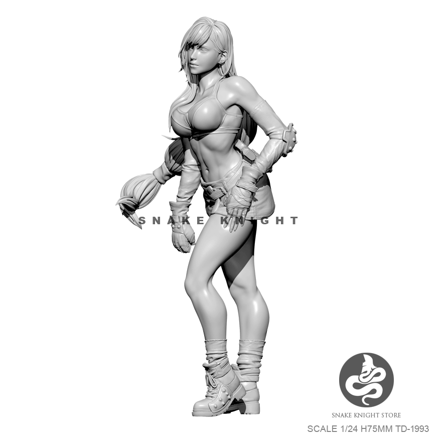 1/24 zestawy żywiczne rysunek  – Model Kit Baki recenzja i cena